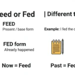 feed or fed