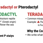 teradactyl or pterodactyl